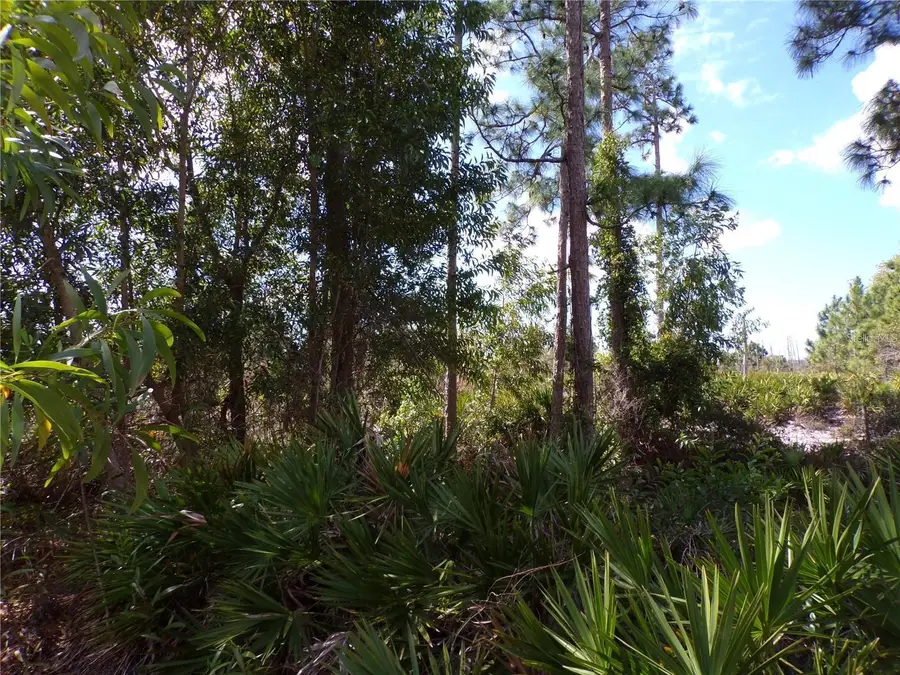 12253 Green Gulf Boulevard, Punta Gorda, FL 33955 - #3