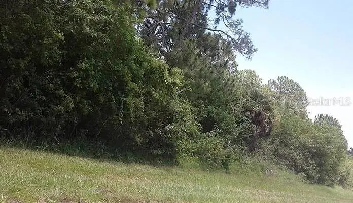 11988 Waterman Avenue, Port Charlotte, FL 33981 - #2