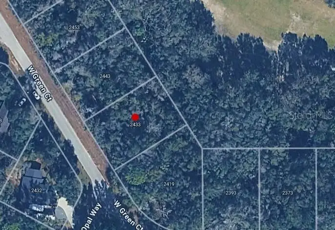 2433 W Green Court, Citrus Springs, FL 34434 - #3