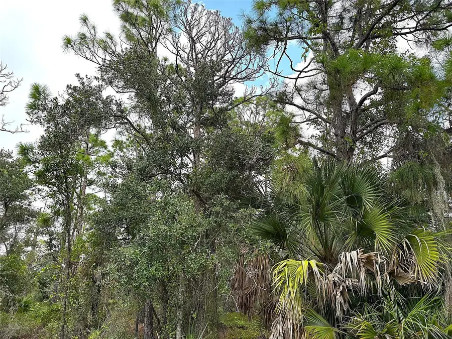 14060 Dunlap Avenue, Port Charlotte, FL 33953 - #2