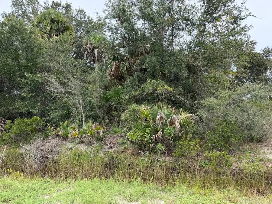 16434 NW 318th Street, Okeechobee, FL 34972 - #2