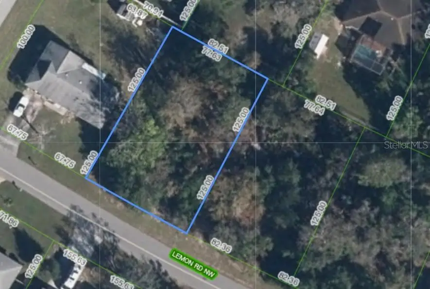 Lemon Road Nw, Lake Placid, FL 33852 - #3