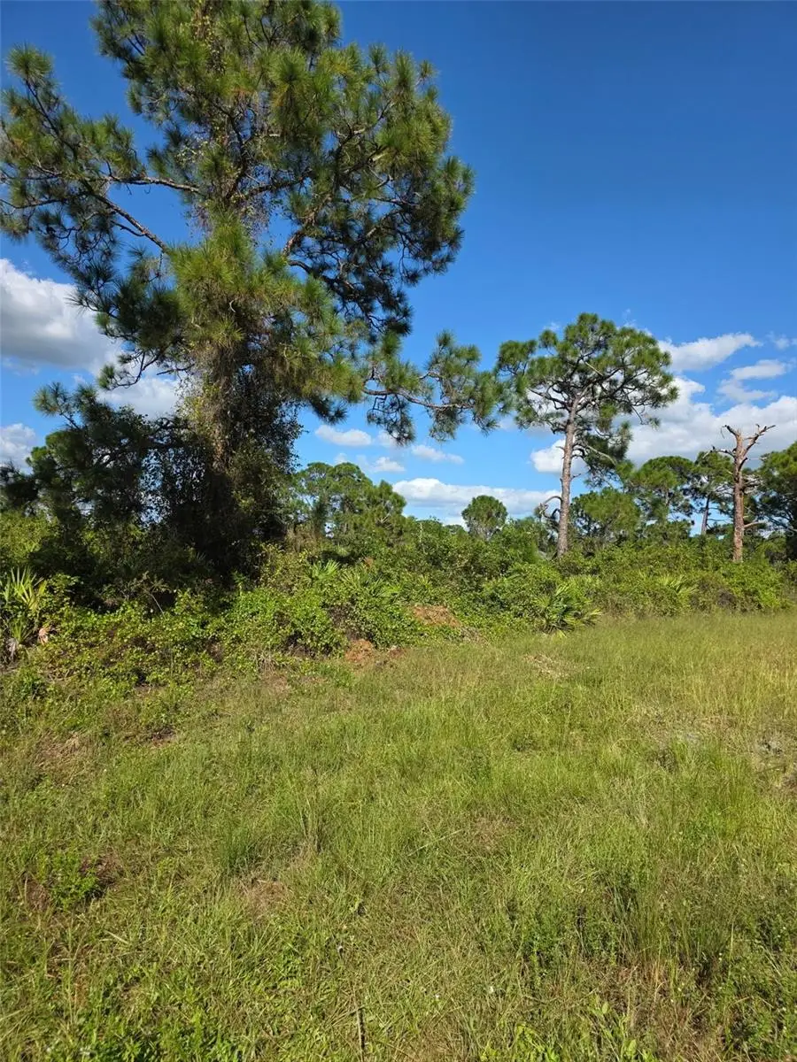 1115 Jaguar Boulevard, Lehigh Acres, FL 33974 - #2