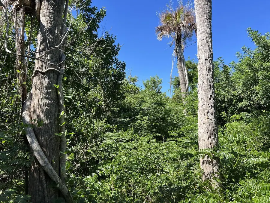 10048 Hel-lew Court, Placida, FL 33946 - #3