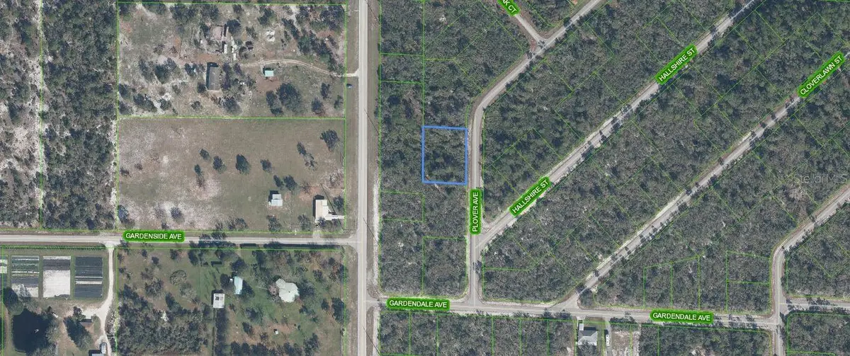 1046 Plover Avenue, Lake Placid, FL 33852 - #1