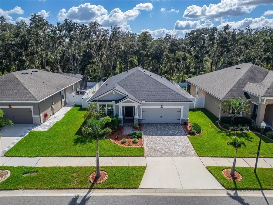12961 Satin Lily Drive, Riverview, FL 33579 - #2