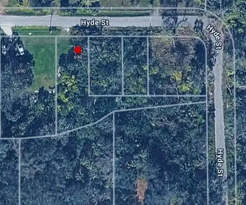 698 Hyde Street, Wauchula, FL 33873 - #3