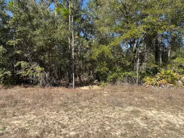 497 W Hummingbird Drive, Citrus Springs, FL 34434