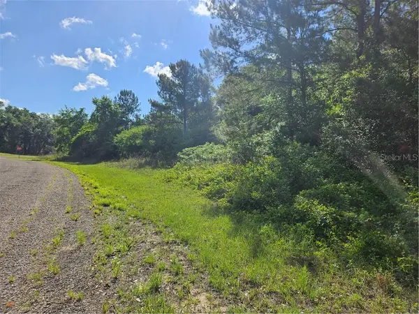 622 E Abady Lane, Citrus Springs, FL 34434