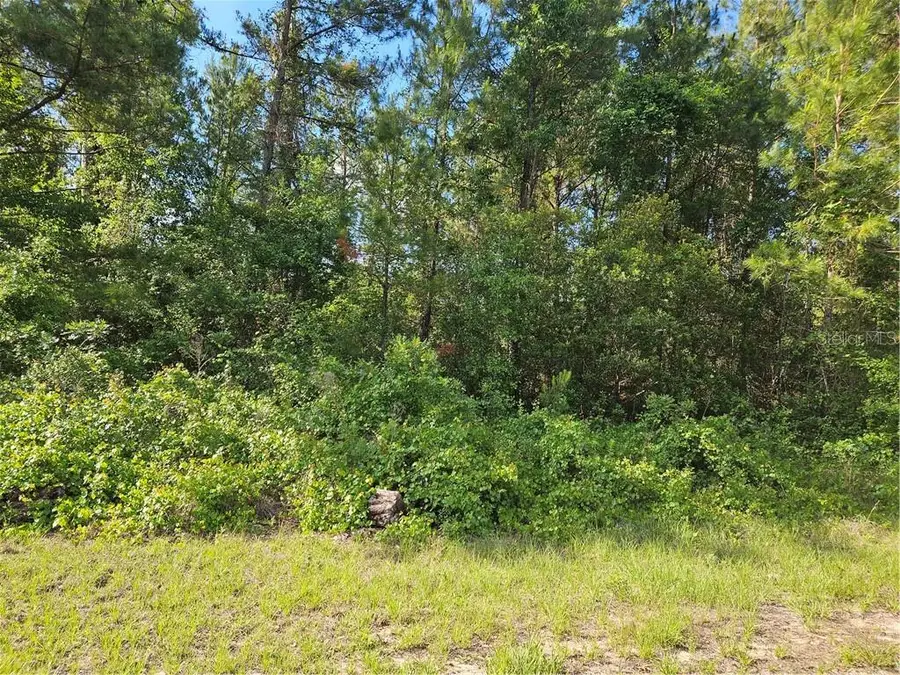 622 E Abady Lane, Citrus Springs, FL 34434 - #2