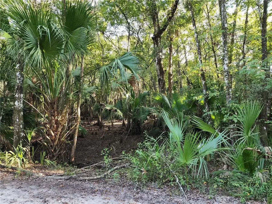13334 E Shawnee Trail, Inverness, FL 34450 - #3