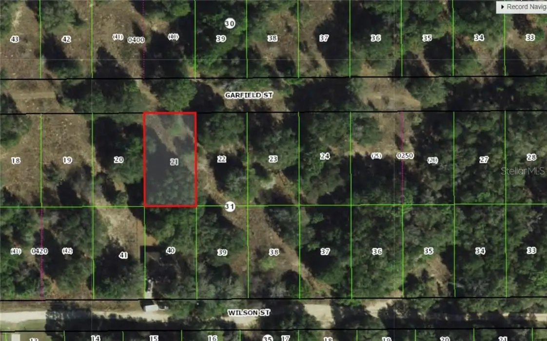 2305 Garfield Street, Inverness, FL 34453 - #1