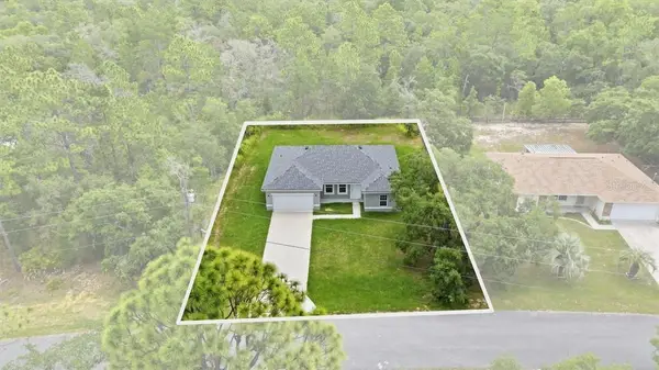 1569 W Mcneal Drive, Citrus Springs, FL 34434