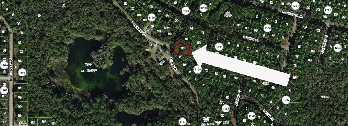8295 N Lily Drive, Citrus Springs, FL 34434 - #1
