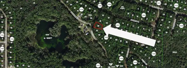8295 N Lily Drive, Citrus Springs, FL 34434