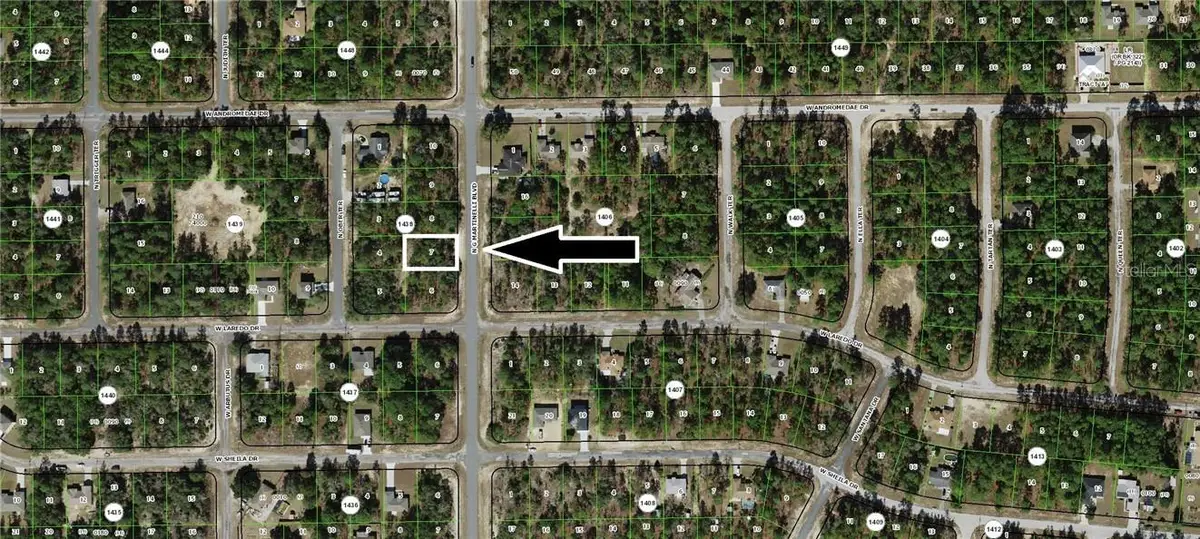 10940 N G Martinelli Boulevard, Citrus Springs, FL 34433 - #1