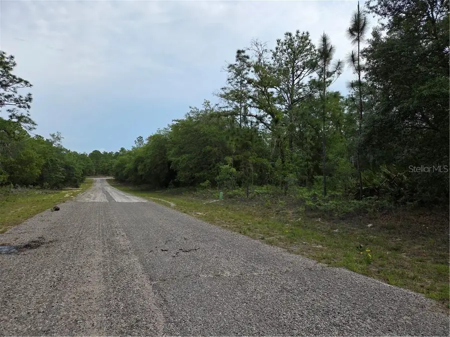 6493 N Matheson Drive, Citrus Springs, FL 34434 - #2