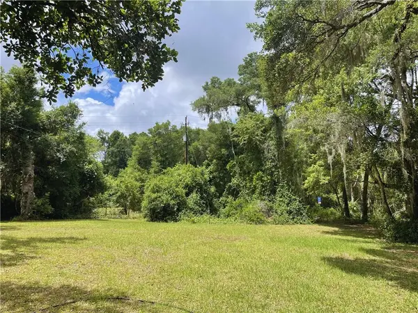 9381 S Great Oaks Drive, Floral City, FL 34436