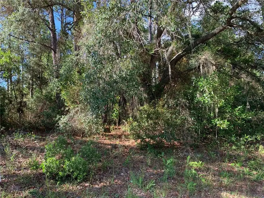 4081 W Findlay Street, Citrus Springs, FL 34433 - #2
