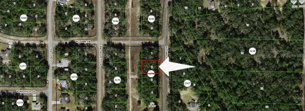 10732 N Academy Drive, Dunnellon, FL 34434