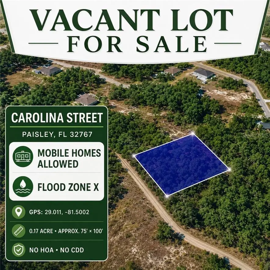 0 Carolina, Paisley, FL 32767 - #1
