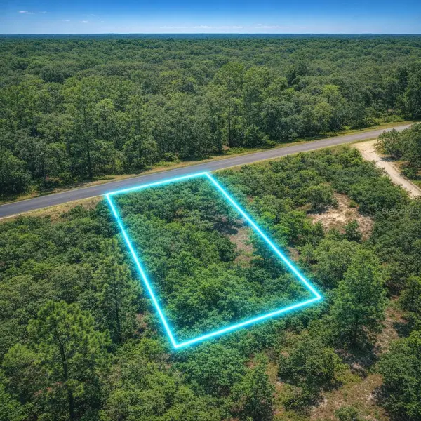 0 SE 133rd Ave Rainbow Lakes Est Avenue, Dunnellon, FL 34431