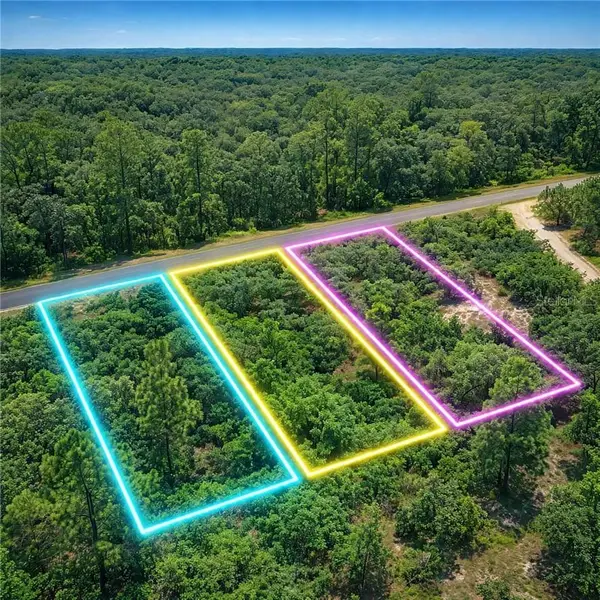 0 SE 134th Ct Rainbow Lakes Estate, Dunnellon, FL 34431