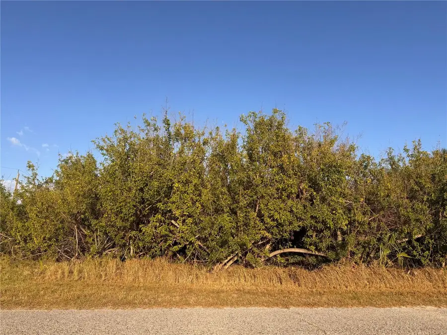 14303 Cando Avenue, Port Charlotte, FL 33981 - Image #3