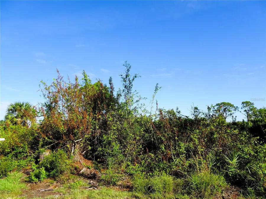 12242 Wagner Lane, Port Charlotte, FL 33981 - #2