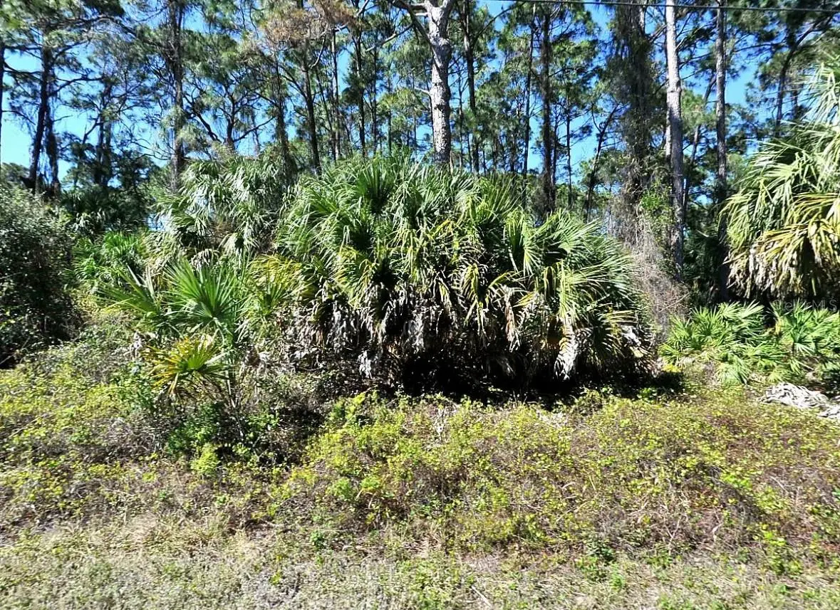 Daphne Road, North Port, FL 34288 - Image #1