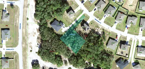 224 Begonia Lane, POINCIANA, FL 34759