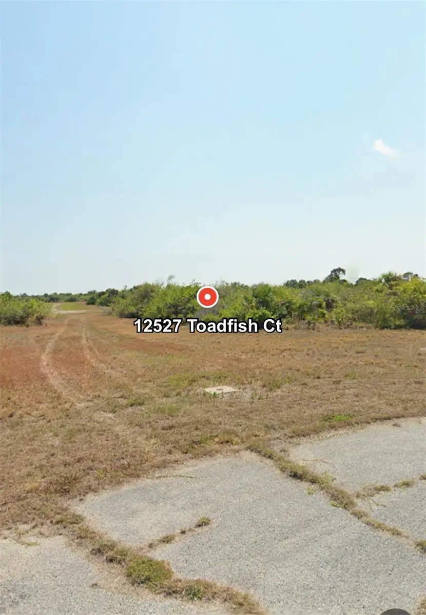 12527 Toadfish Court, Placida, FL 33946 - Image #1