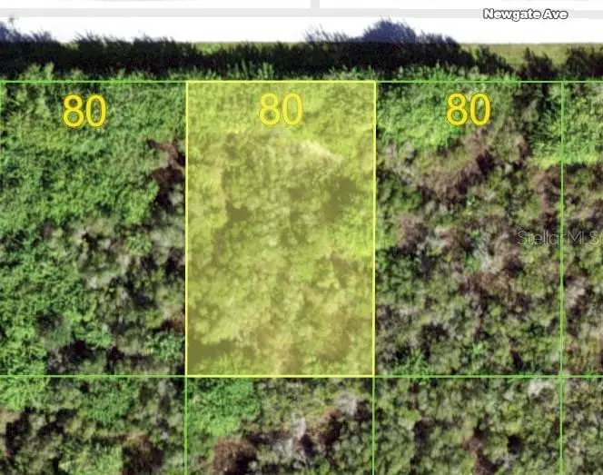 12105 Newgate Avenue, Port Charlotte, FL 33981 - #3