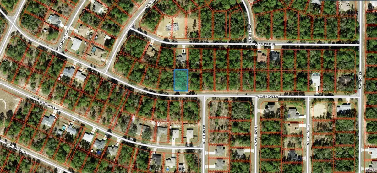 3369 W Cushion Drive, Citrus Springs, FL 34433 - #1