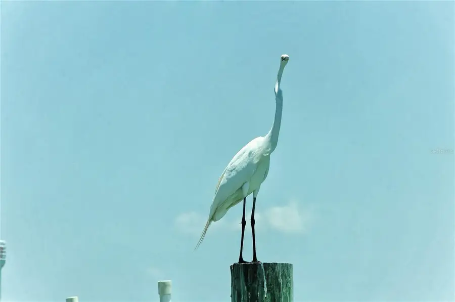 6040 Boca Grande Causeway #5, Boca Grande, FL 33921 - Image #3