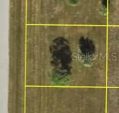 6 Elm Drive, Placida, FL 33946 - #3