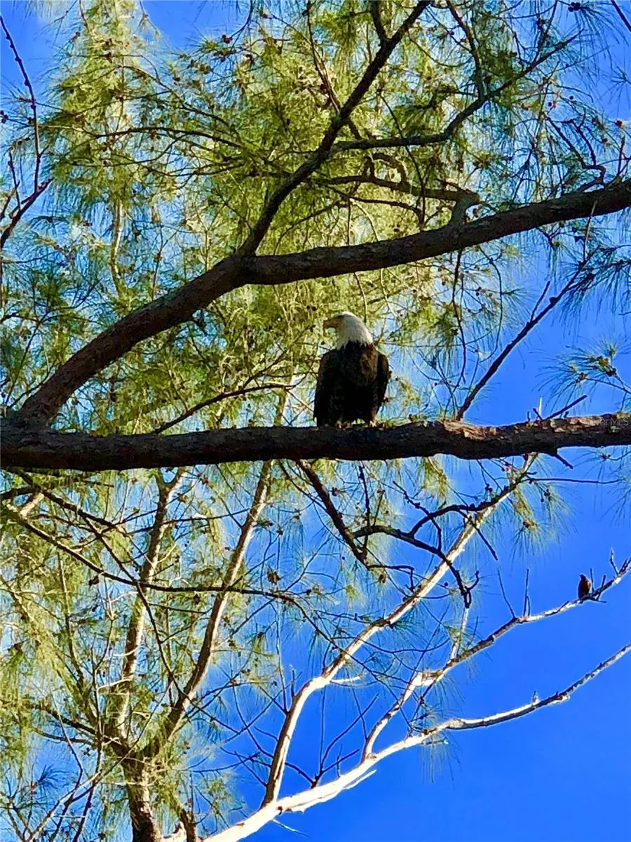 8768 King Street, Placida, FL 33946 - Image #2