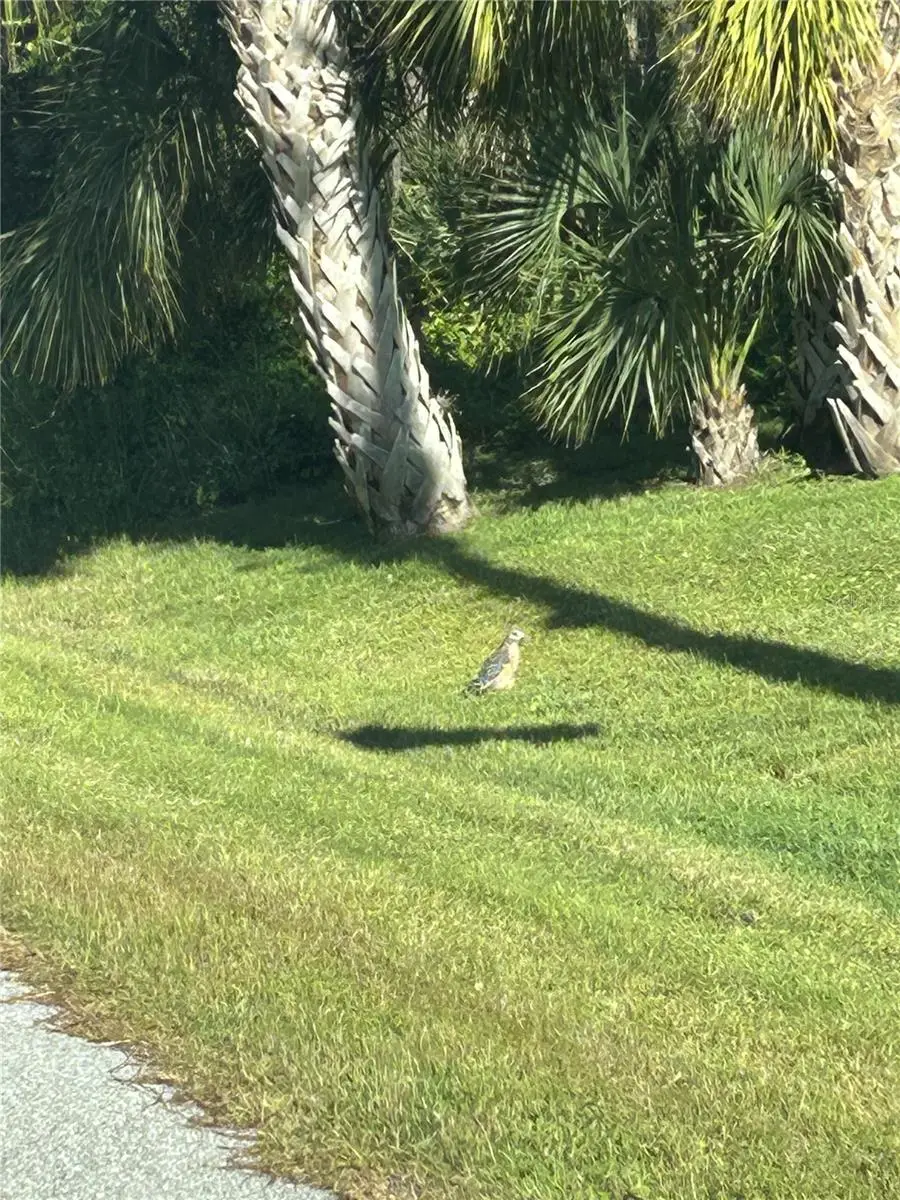 23 Mooring Place, Placida, FL 33946 - Image #1