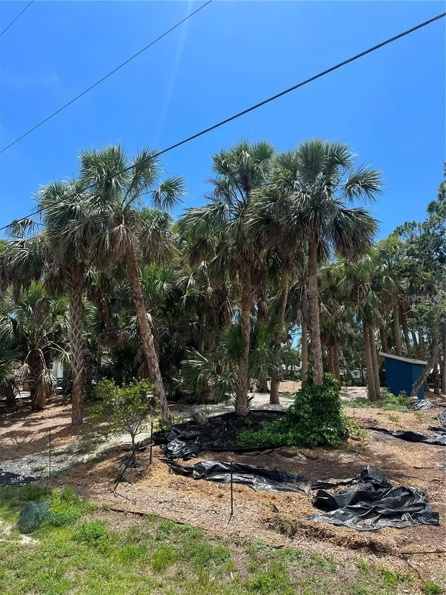 141 Hoffer Street, Port Charlotte, FL 33953 - #3