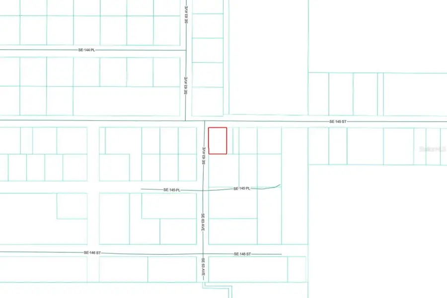 Se 145th Street, Summerfield, FL 34491 - #3