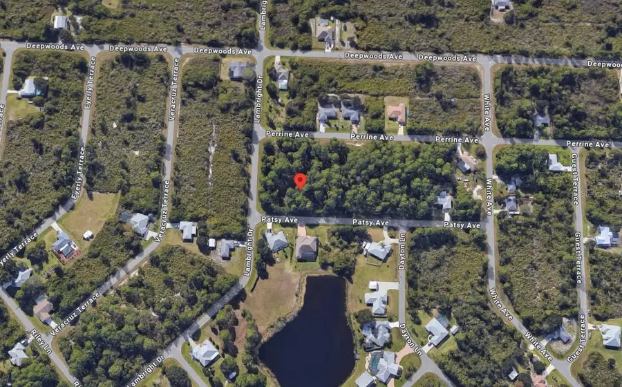 12519 Patsy Avenue, Port Charlotte, FL 33981 - #2