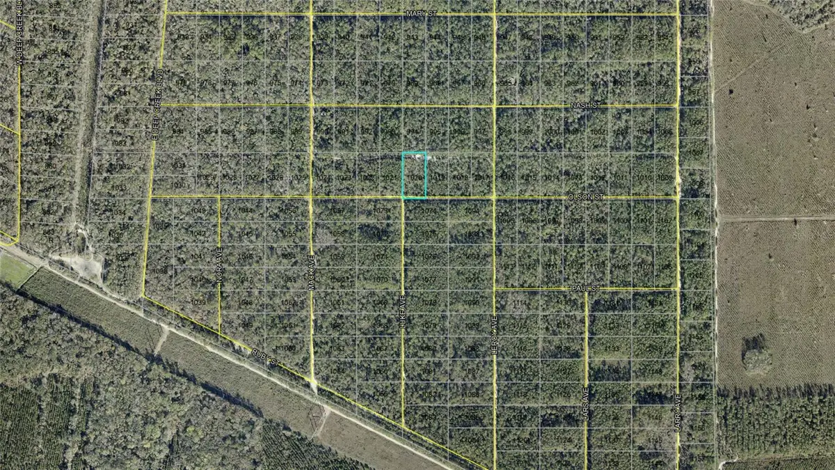 21-10-28-2775-00040-1020 Olson Street, Hastings, FL 32145 - #1