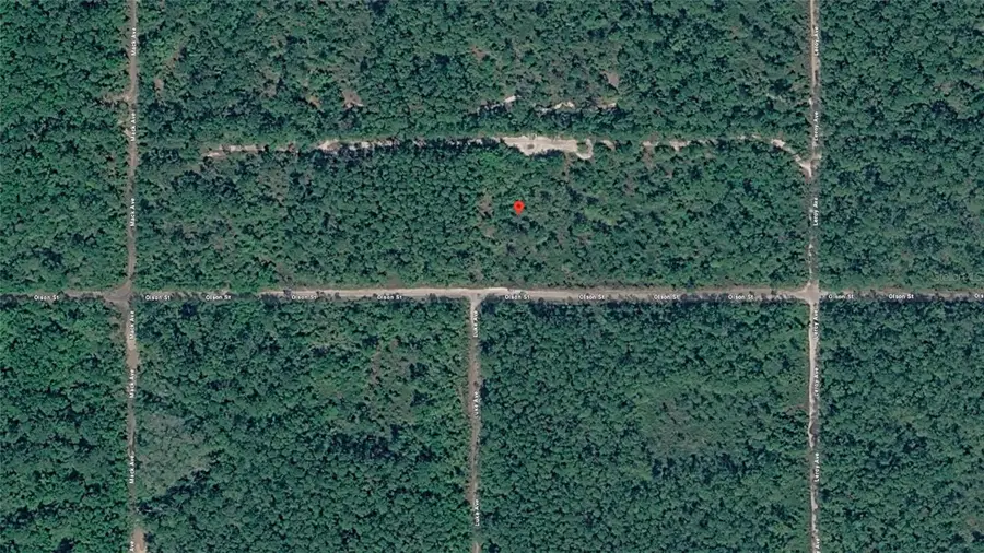 21-10-28-2775-00040-1020 Olson Street, Hastings, FL 32145 - #3
