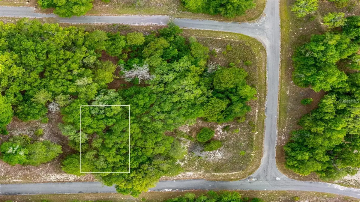 Magnolia Drive, Ocklawaha, FL 32179 - #1