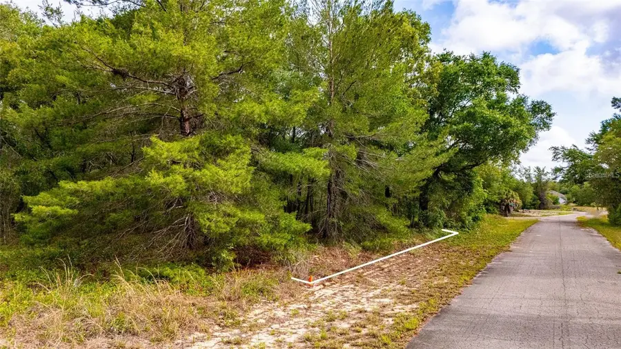 Magnolia Drive, Ocklawaha, FL 32179 - #2