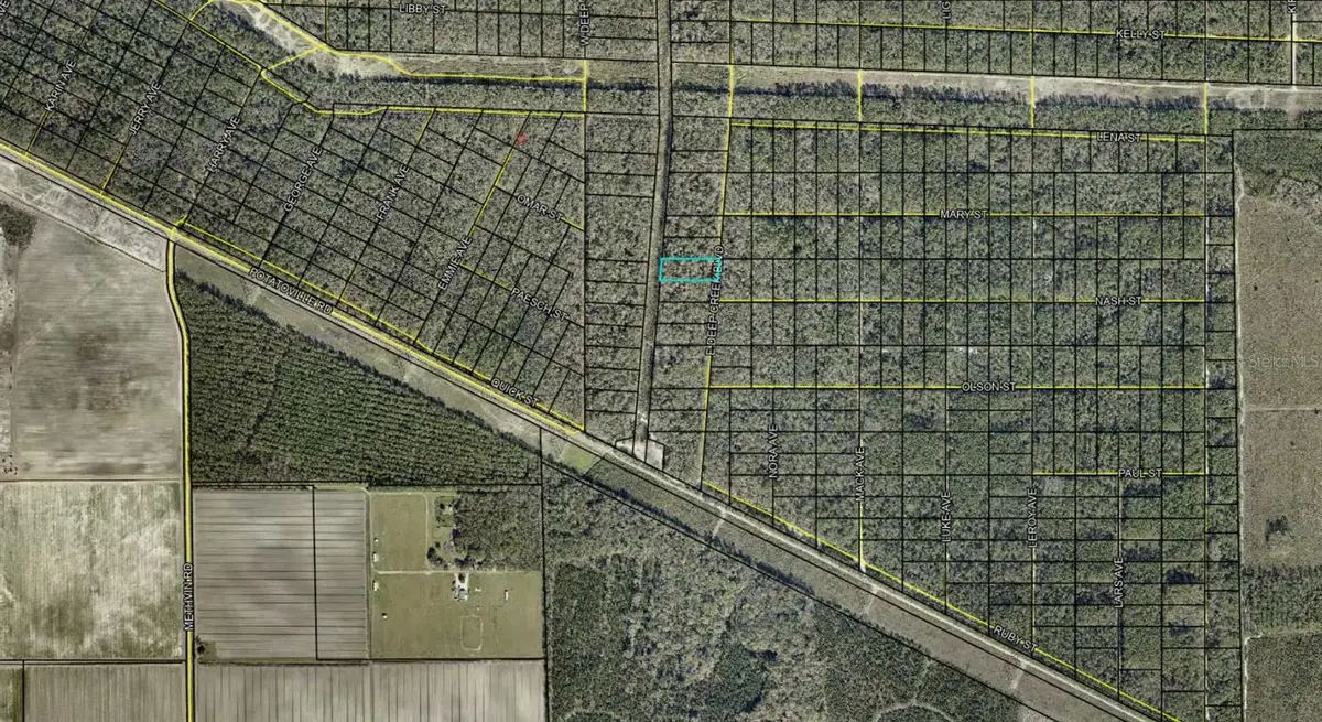 E Deep Creek Boulevard, Hastings, FL 32145 - #1