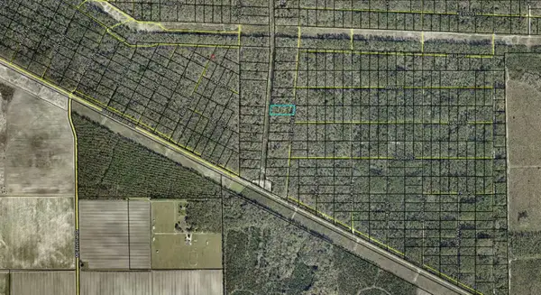 E Deep Creek Boulevard, HASTINGS, FL 32145