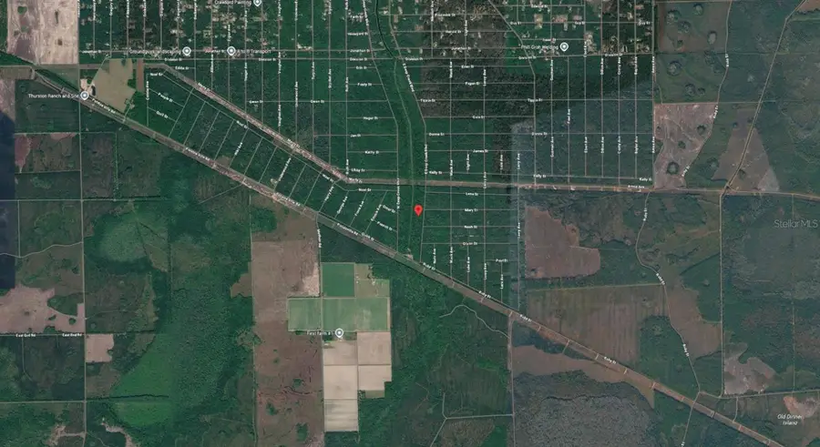 E Deep Creek Boulevard, Hastings, FL 32145 - #2