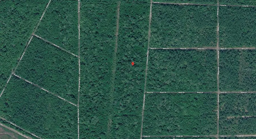 E Deep Creek Boulevard, Hastings, FL 32145 - #3