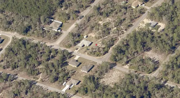 Malauka Lane, OCKLAWAHA, FL 32179